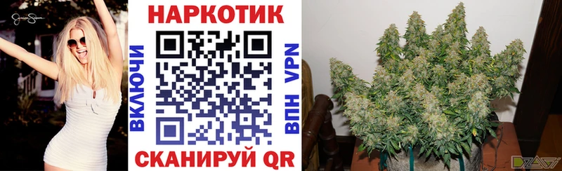 Все наркотики Покровск Марихуана Героин Псилоцибиновые грибы Alpha PVP ГАШИШ КОКАИН МЕФ