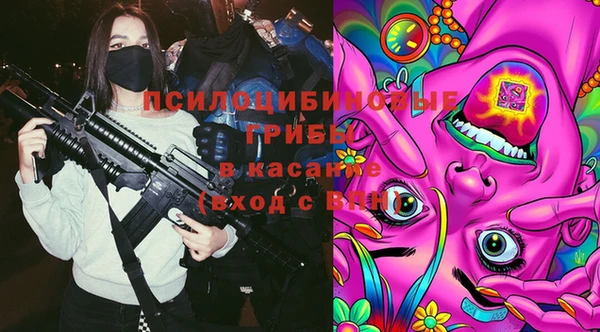 мет Пересвет