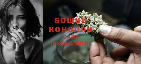 не бодяженный Осташков