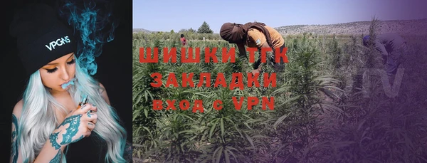 не бодяженный Осташков