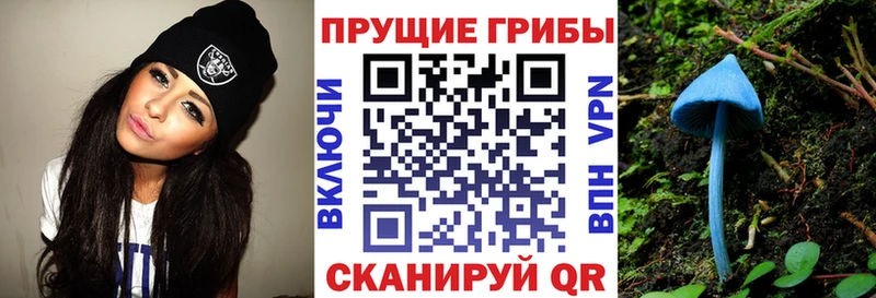 площадка как зайти  Покровск  Галлюциногенные грибы Magic Shrooms 